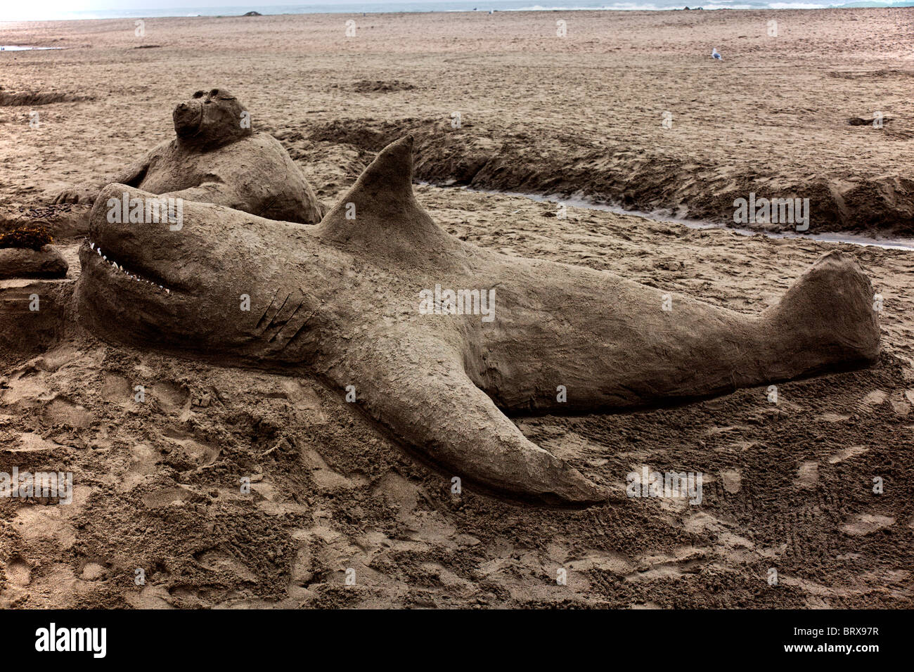 Sand sculpture shark, Ocean Beach, San Francisco, CA Stock Photo