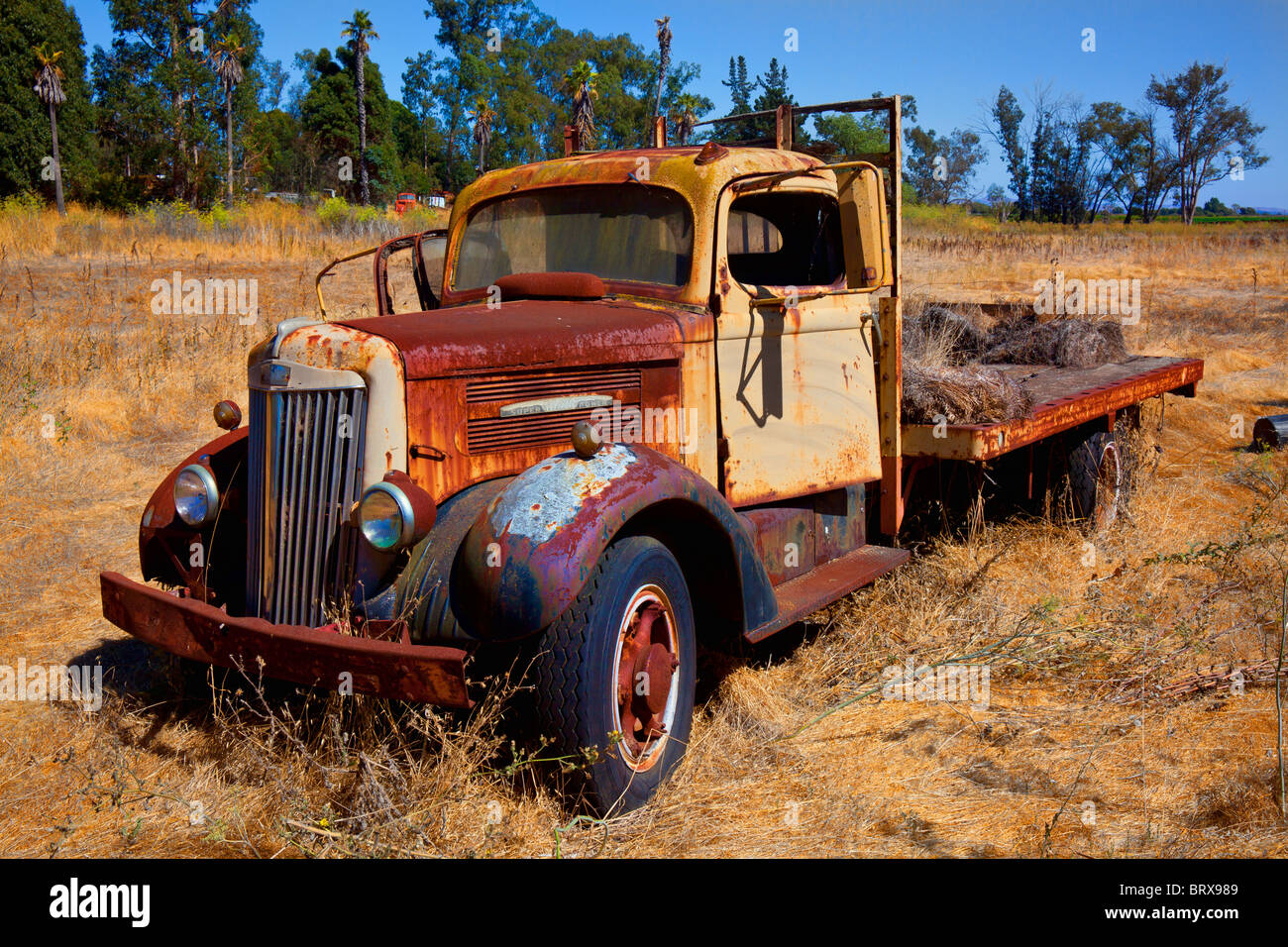 Old rusty flatbed truck in field, California Stock Photo