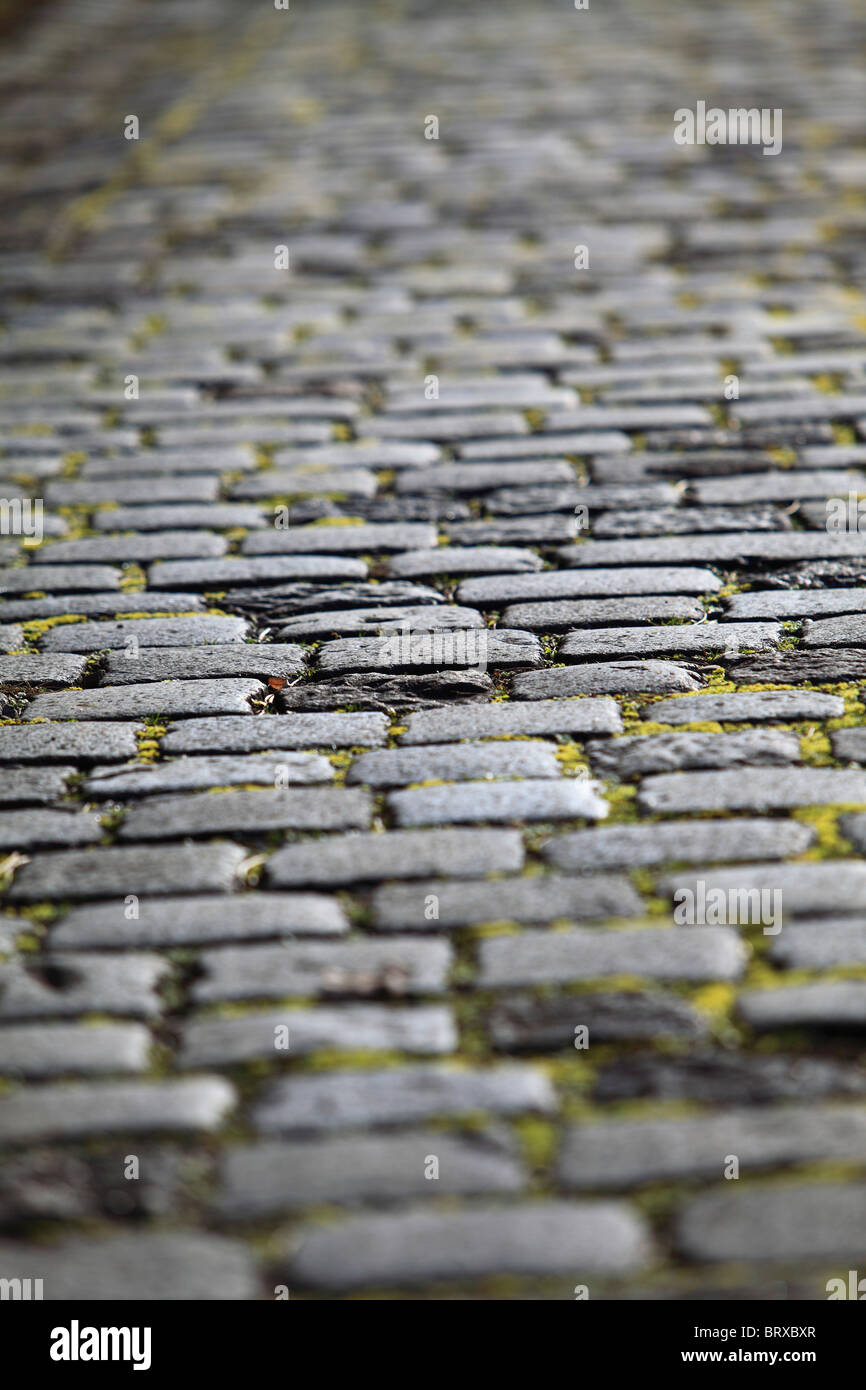 Cobble-stoned pavement Stock Photo