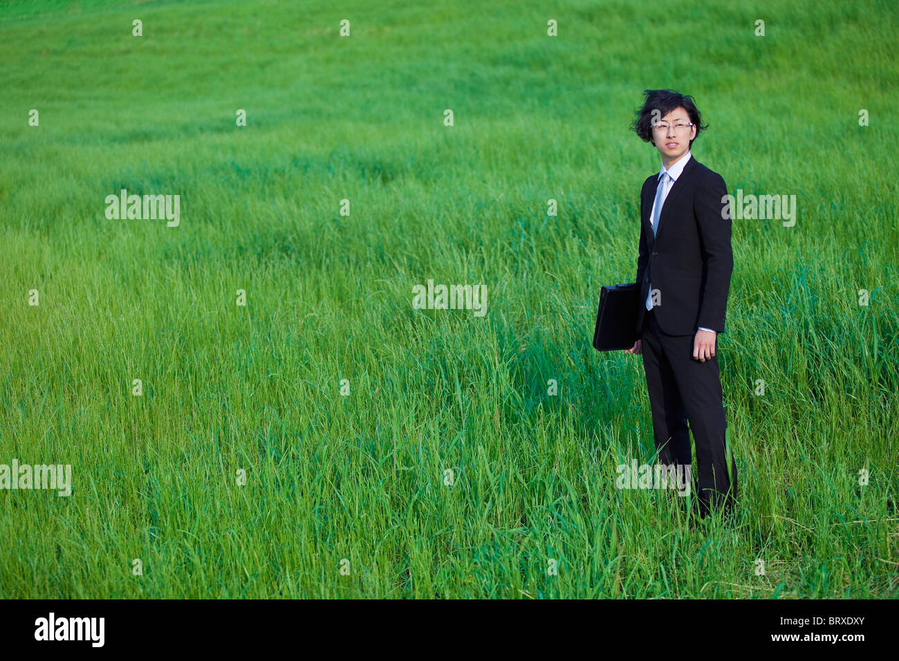 Businessman Standing in Field of Grass Stock Photo