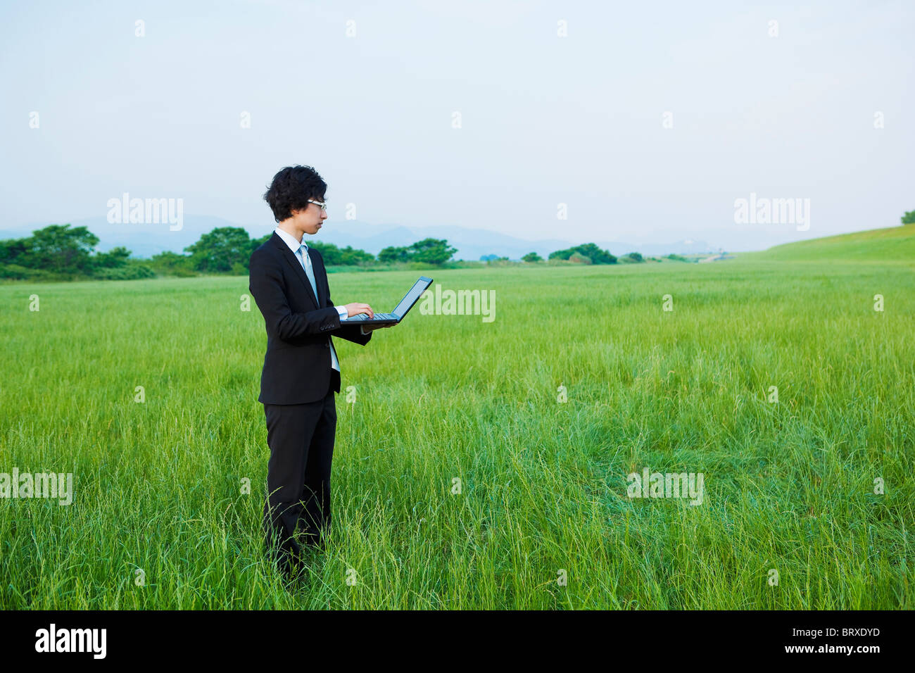 Young Businessman Using Laptop in Field Stock Photo - Alamy