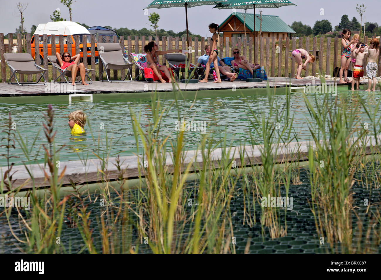 swimming pool in forest