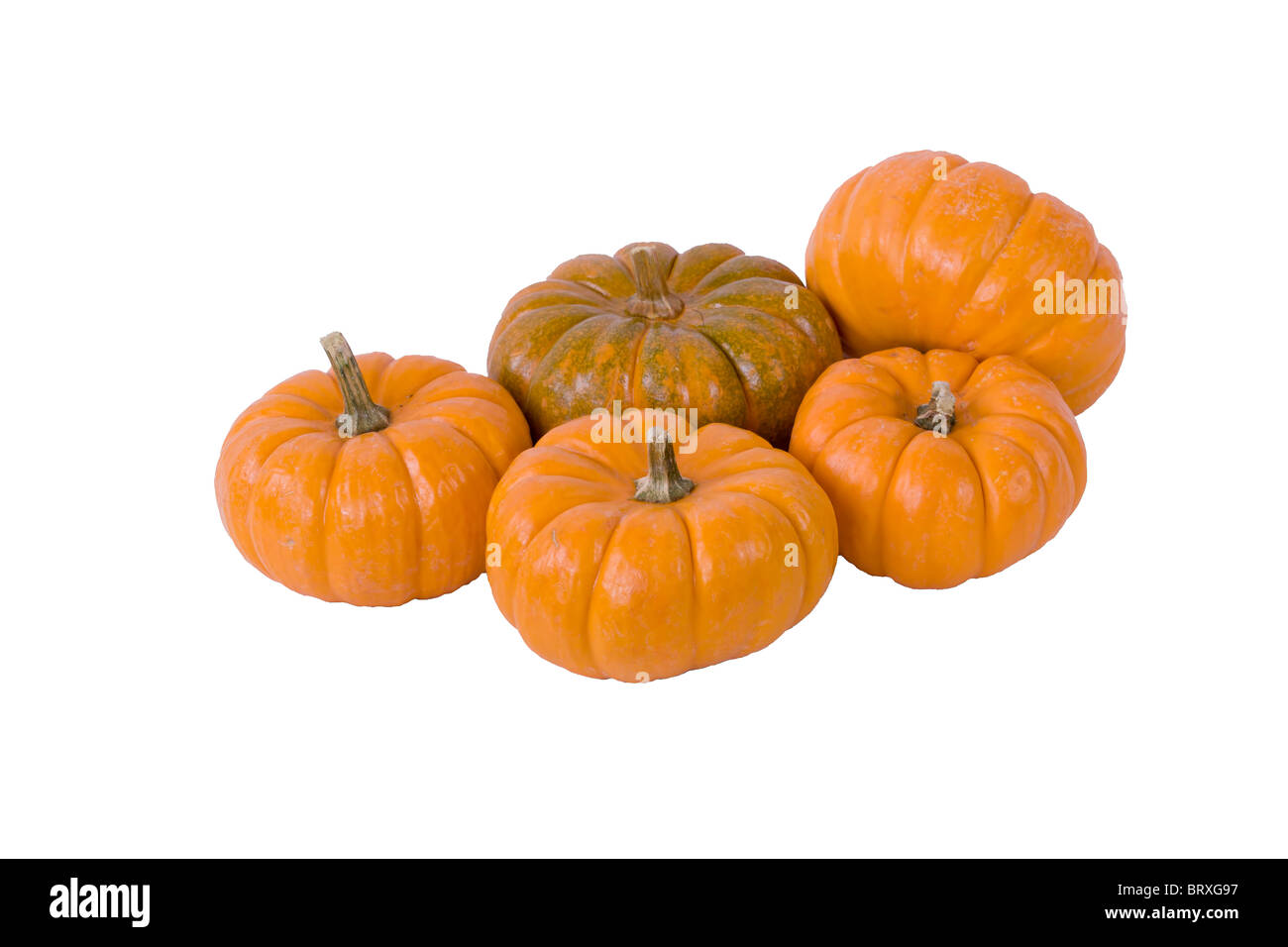 Several Pumpkins Arranged Stock Photo