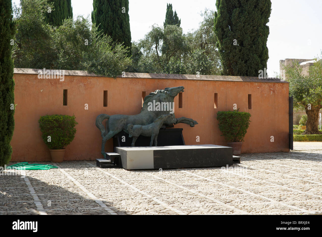 Bronze statues of horses in Alcazar, Jerez. Stock Photo