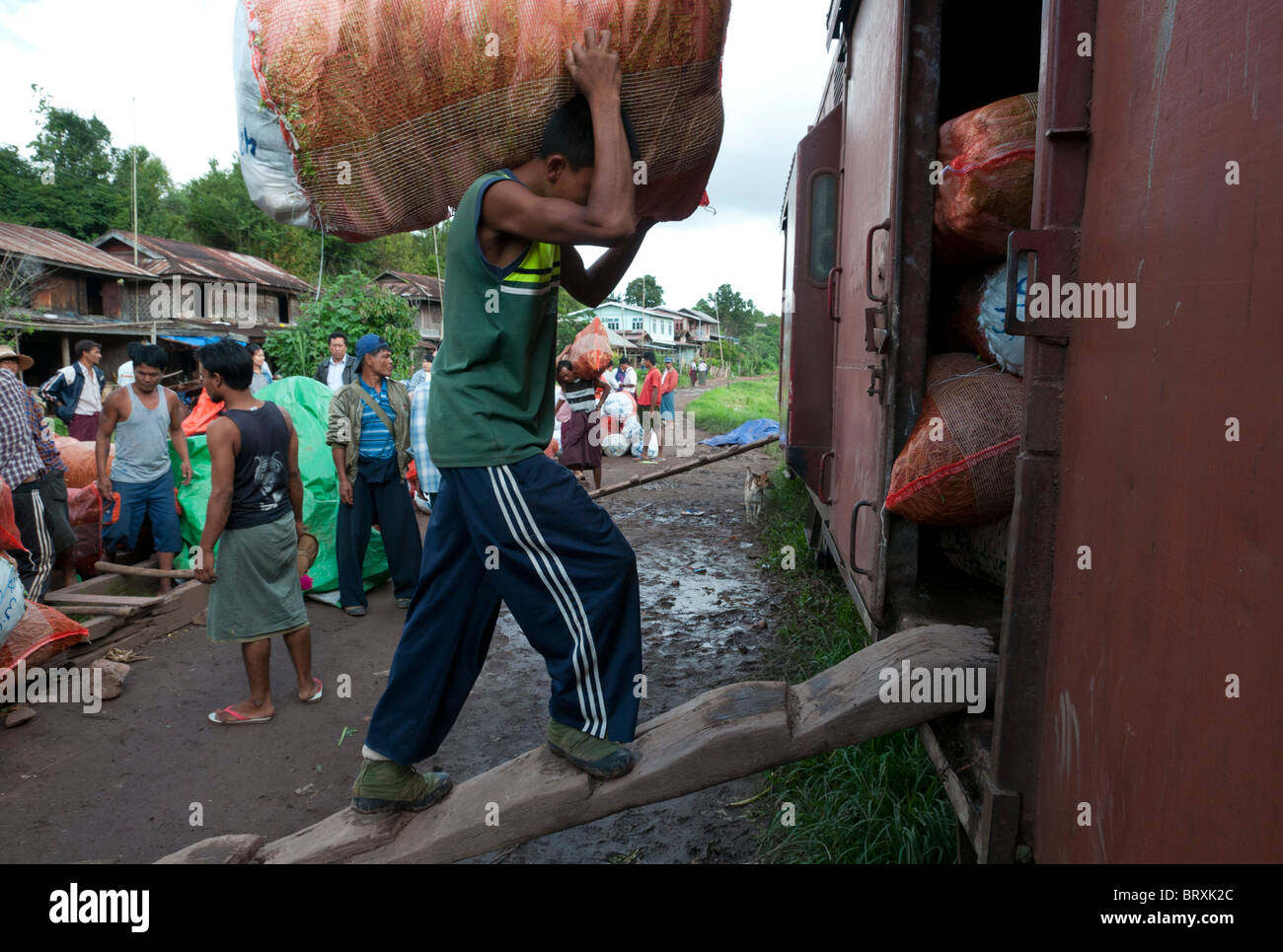 Shan Load Porter carrying heavy vegetable load into train wagon at Mindayik train ...