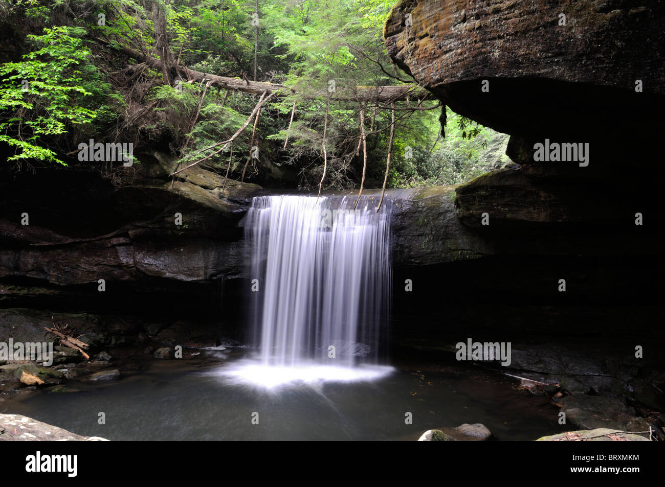 Dog slaughter Falls waterfall Cumberland Falls State Park Kentucky