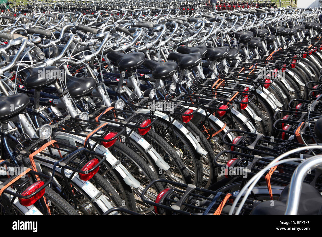 bike rental at ameland, netherlands Stock Photo