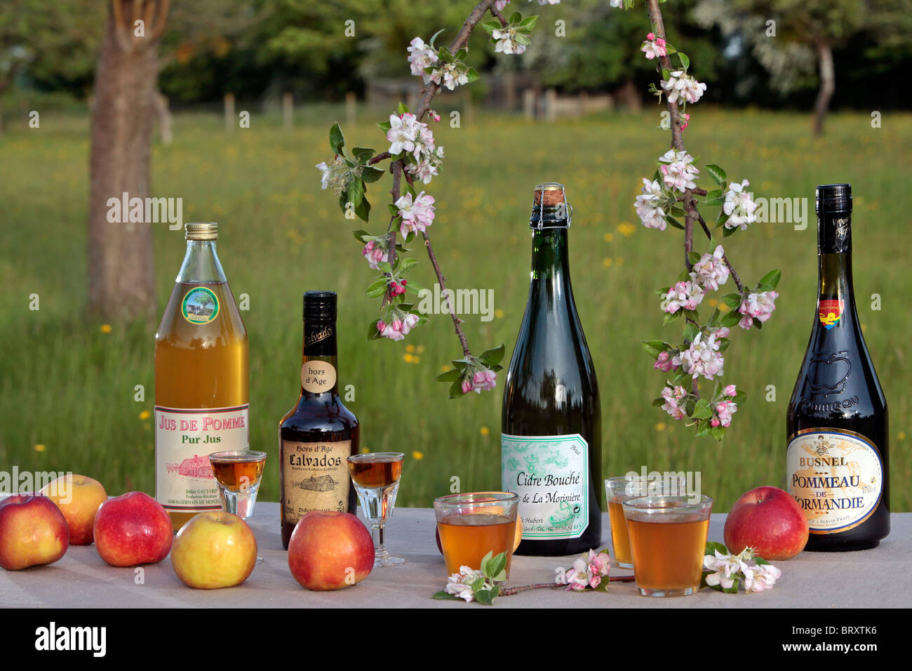DRINKS FROM NORMANDY (CIDER, CALVADOS, POMMEAU, APPLE JUICE Stock ...