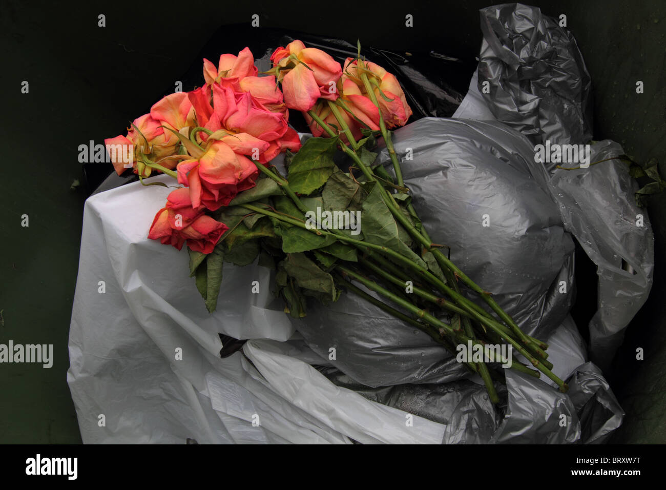A BUNCH OF DEAD FLOWERS IN A RUBBISH BIN HORIZONTAL SILVER BLACK
