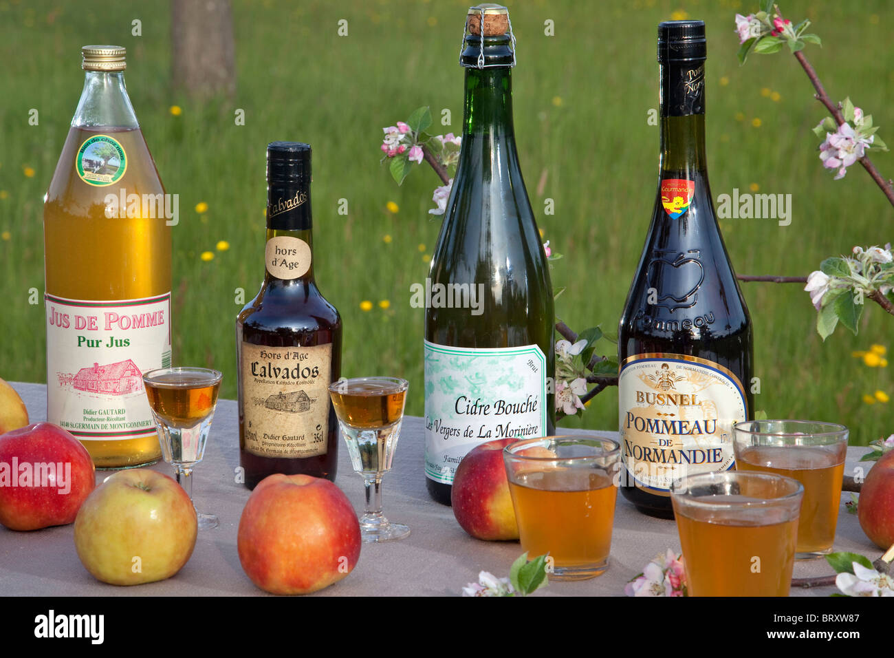 DRINKS FROM NORMANDY (CIDER, CALVADOS, POMMEAU, APPLE JUICE...), FRANCE