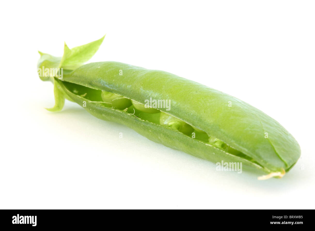 Fresh green pea in cracked - open pod on white background - close up ...
