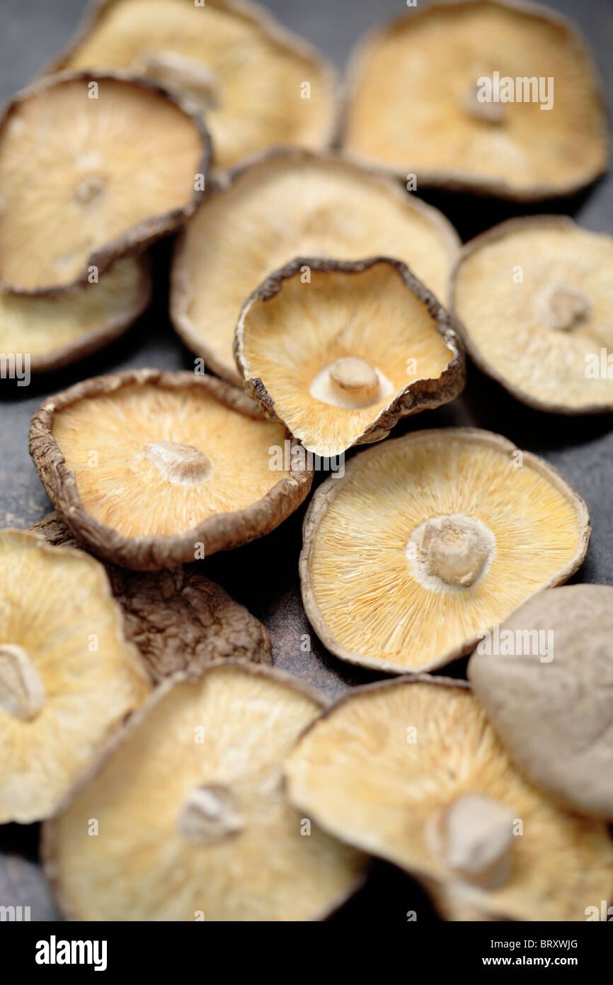 Close up of dried Shitake mushrooms Stock Photo
