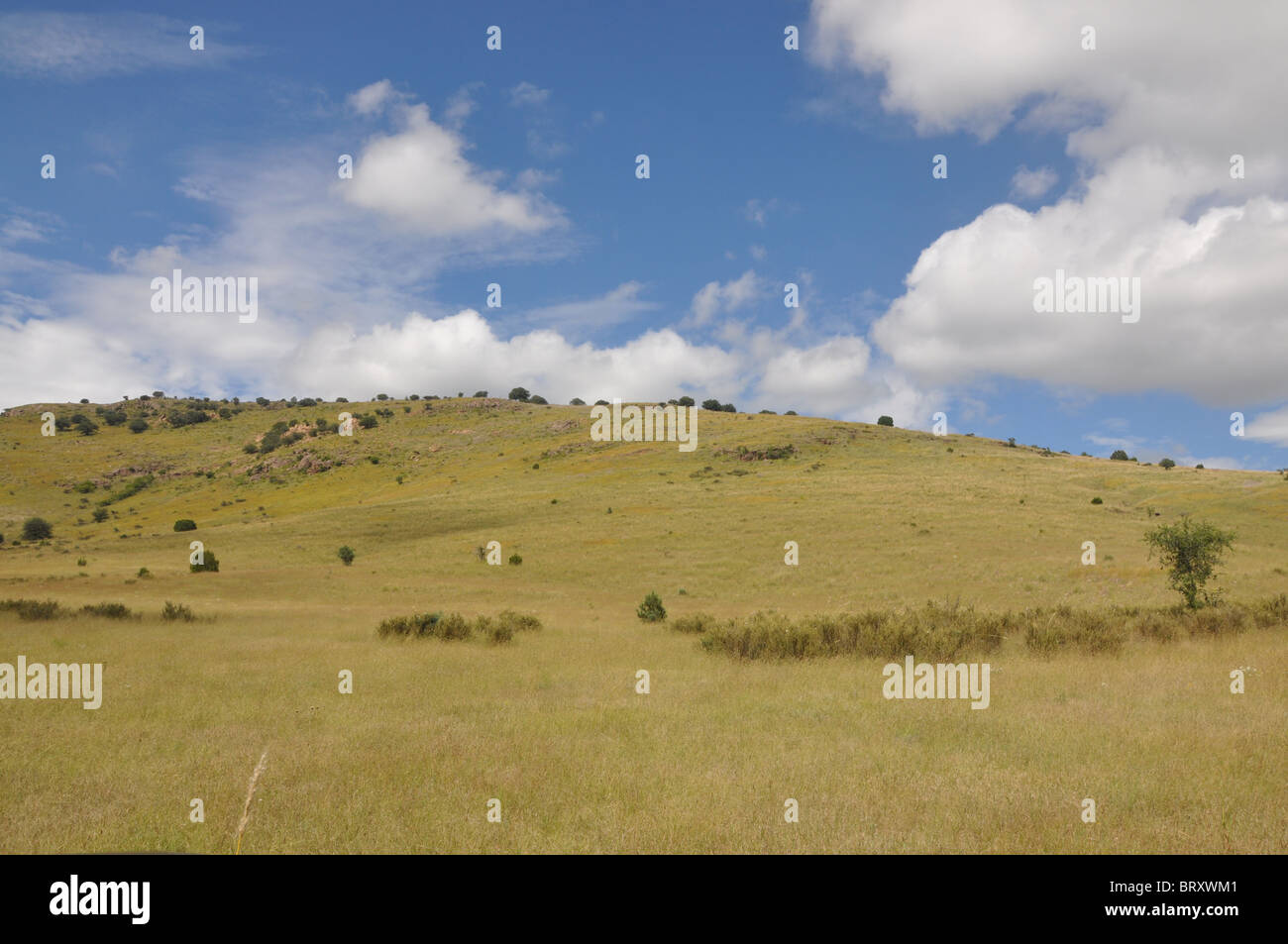 Ranch land in West Texas Stock Photo Alamy