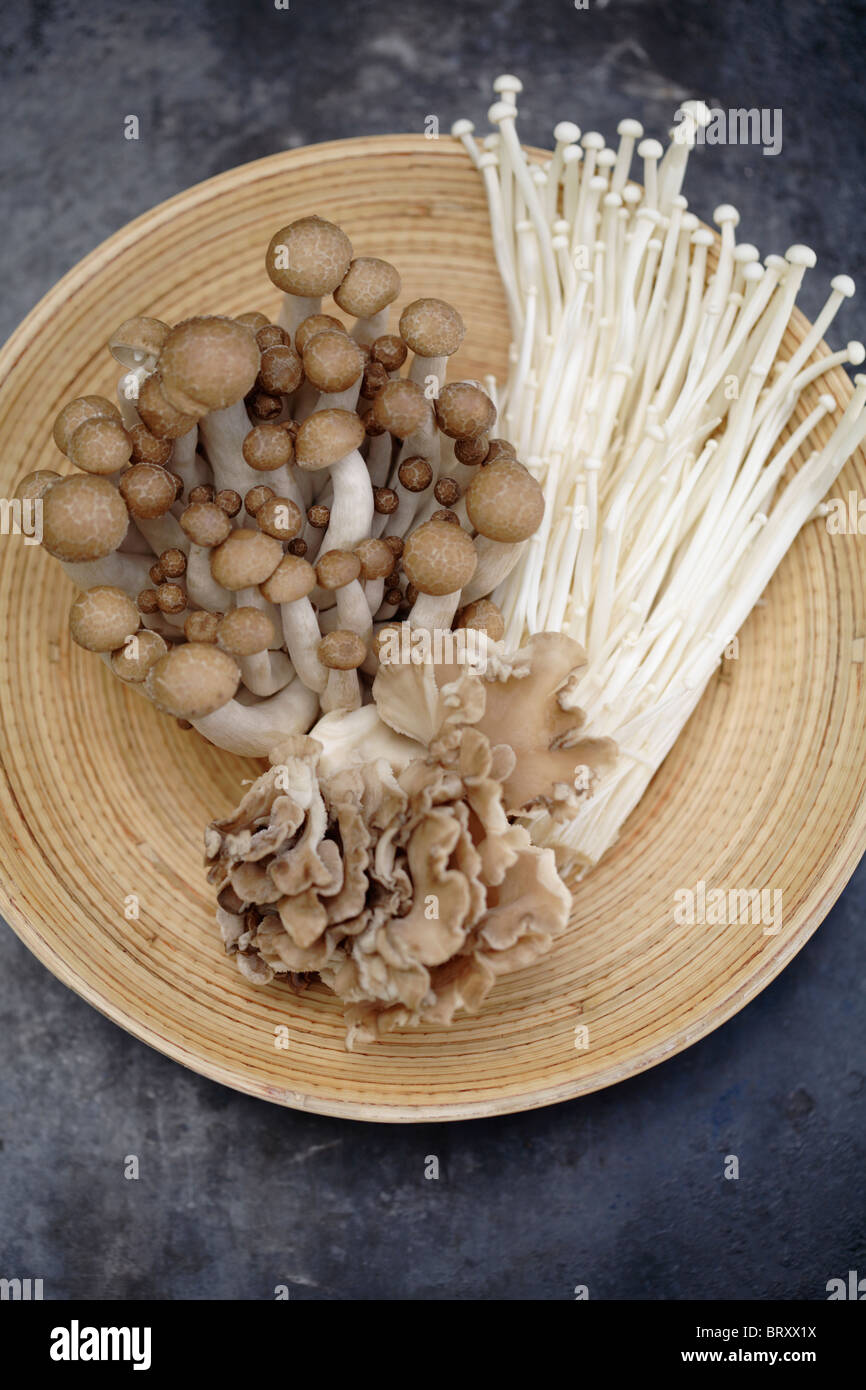 Variety of Asian mushrooms in basket Stock Photo