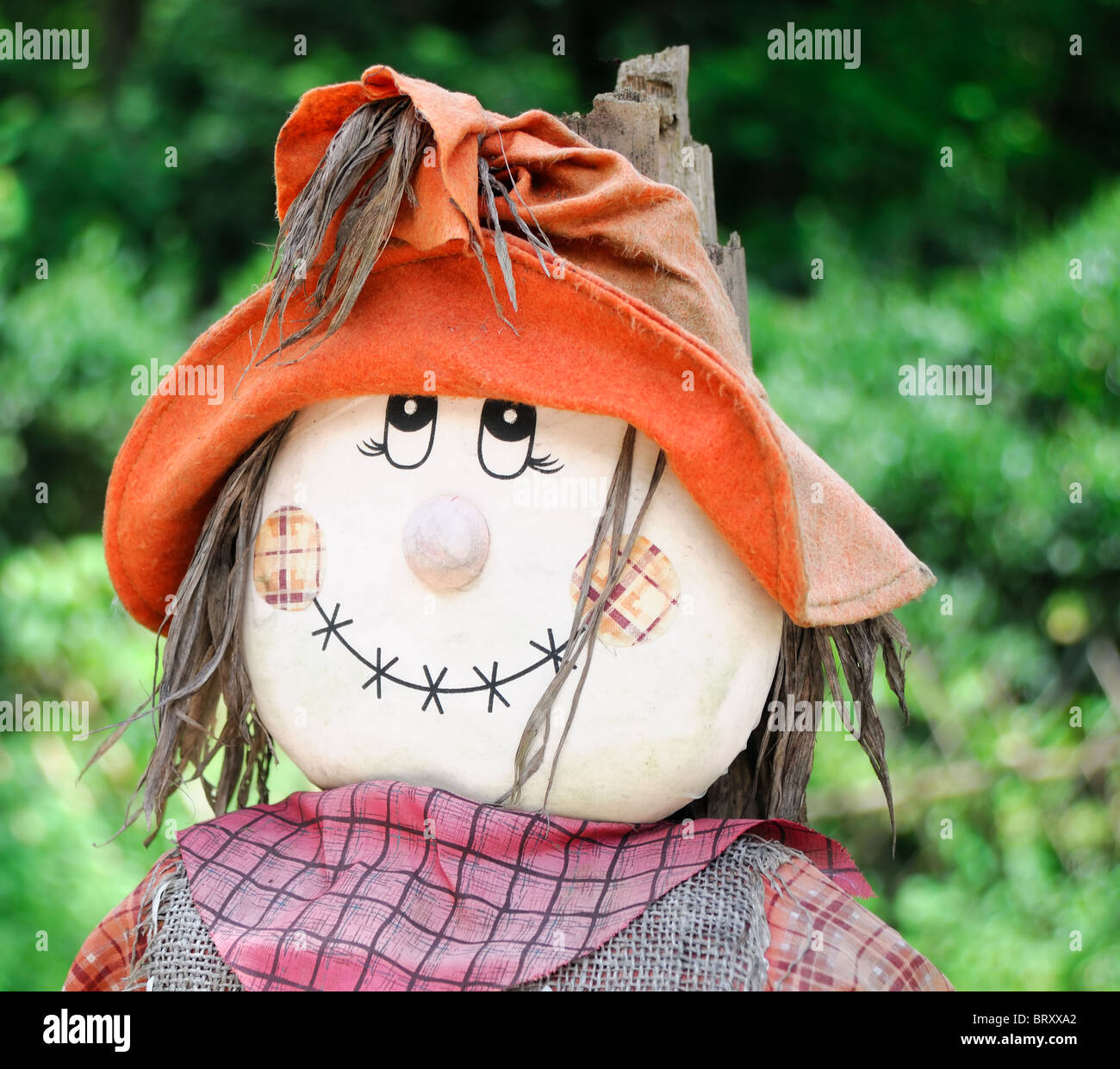 Download Scarecrow Face High Resolution Stock Photography And Images Alamy