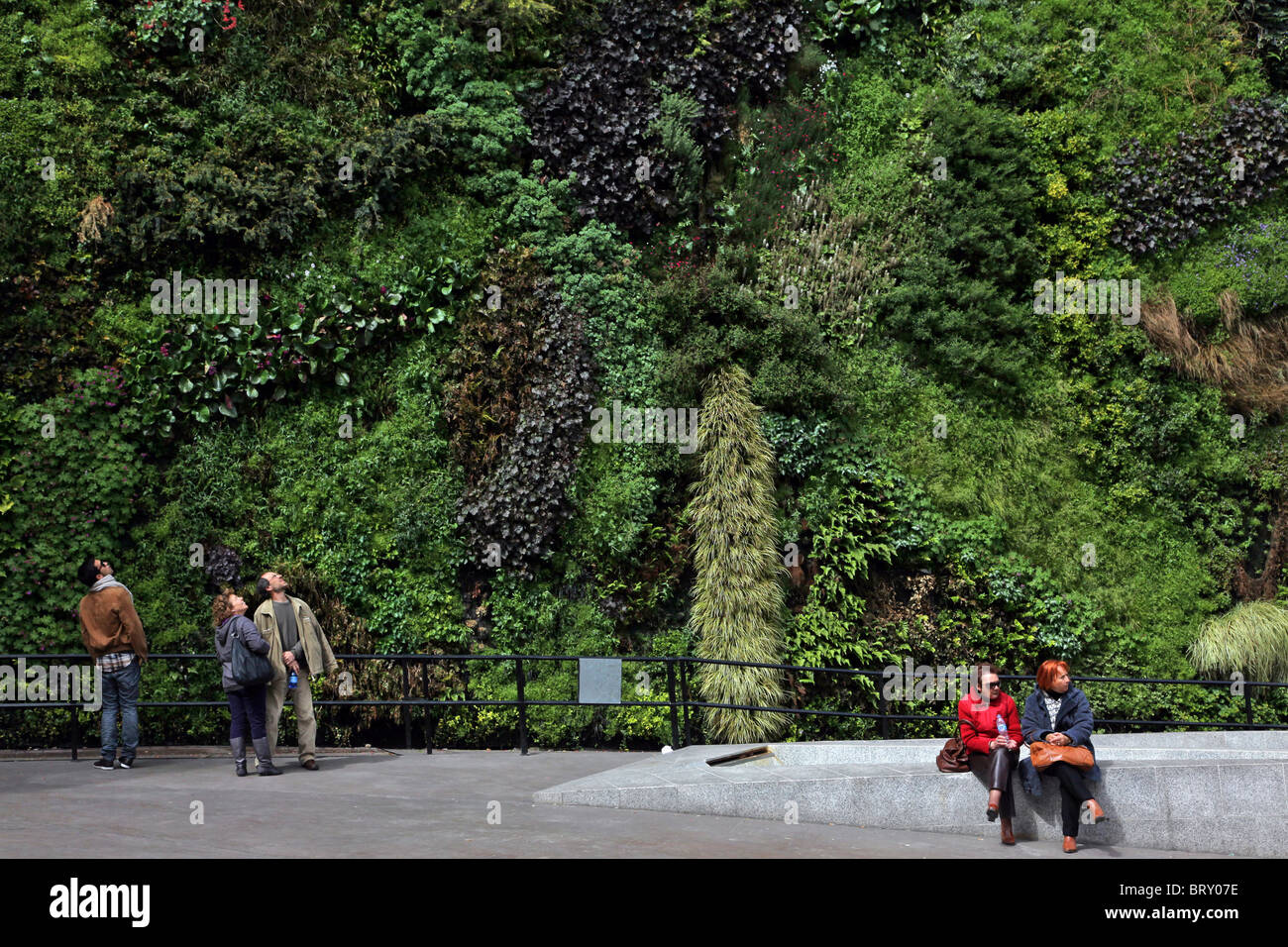 LIVING WALL IN FRONT OF THE CAIXA FORUM, CULTURAL CENTER, MADRID, SPAIN Stock Photo