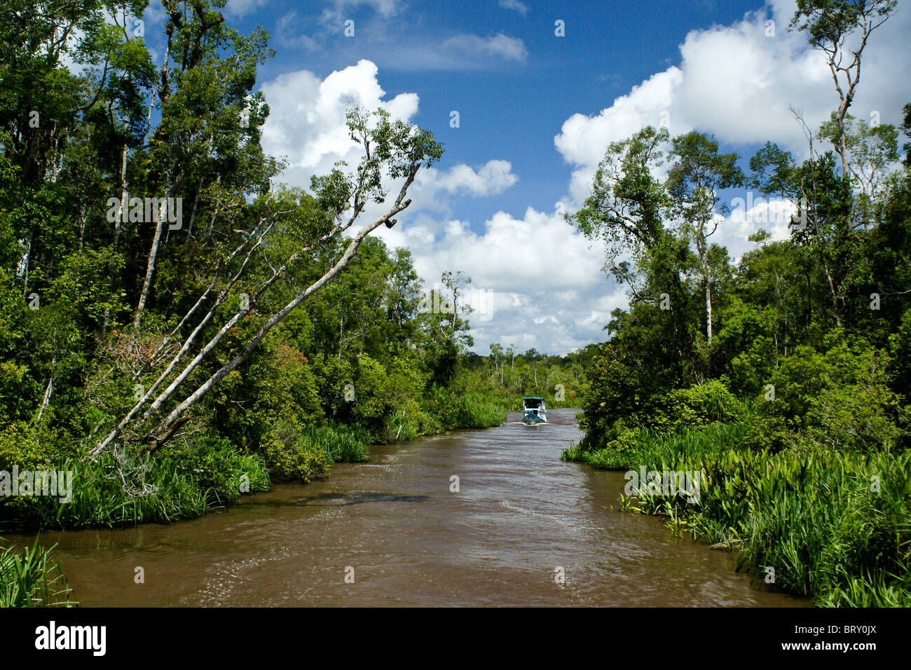 Klotok on Sekonyer River, Borneo, Indonesia Stock Photo