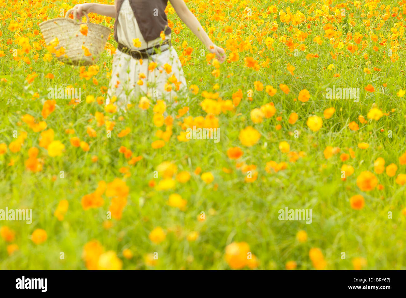 Woman in flower field hi-res stock photography and images - Alamy