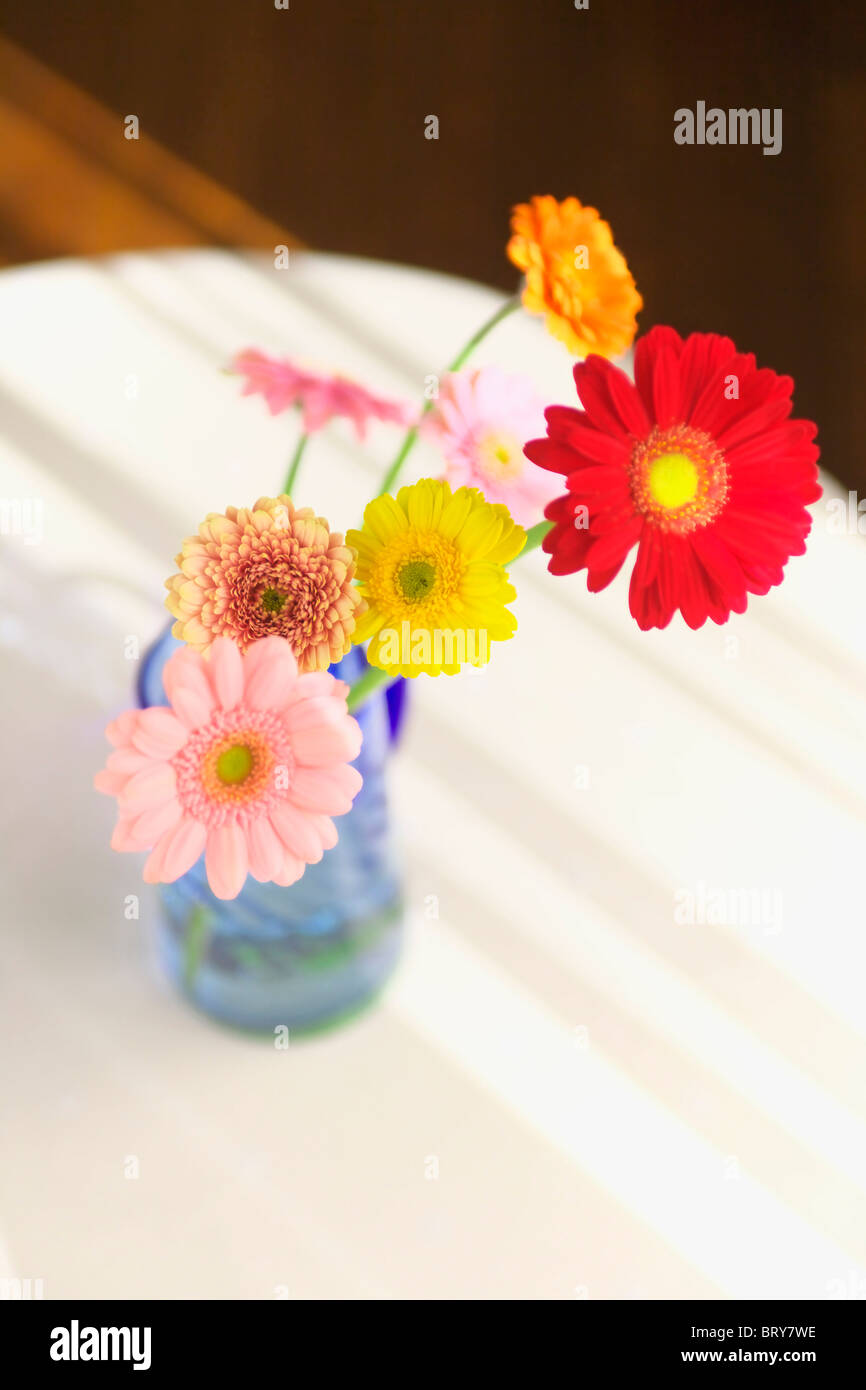 Gerbera Daisies in a vase Stock Photo Alamy
