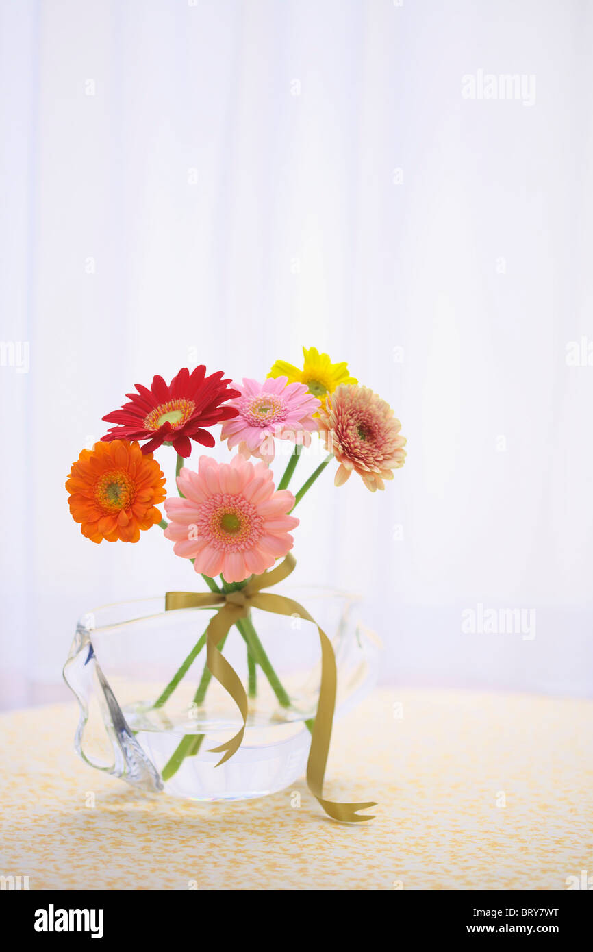 Gerbera Daisies in a vase Stock Photo