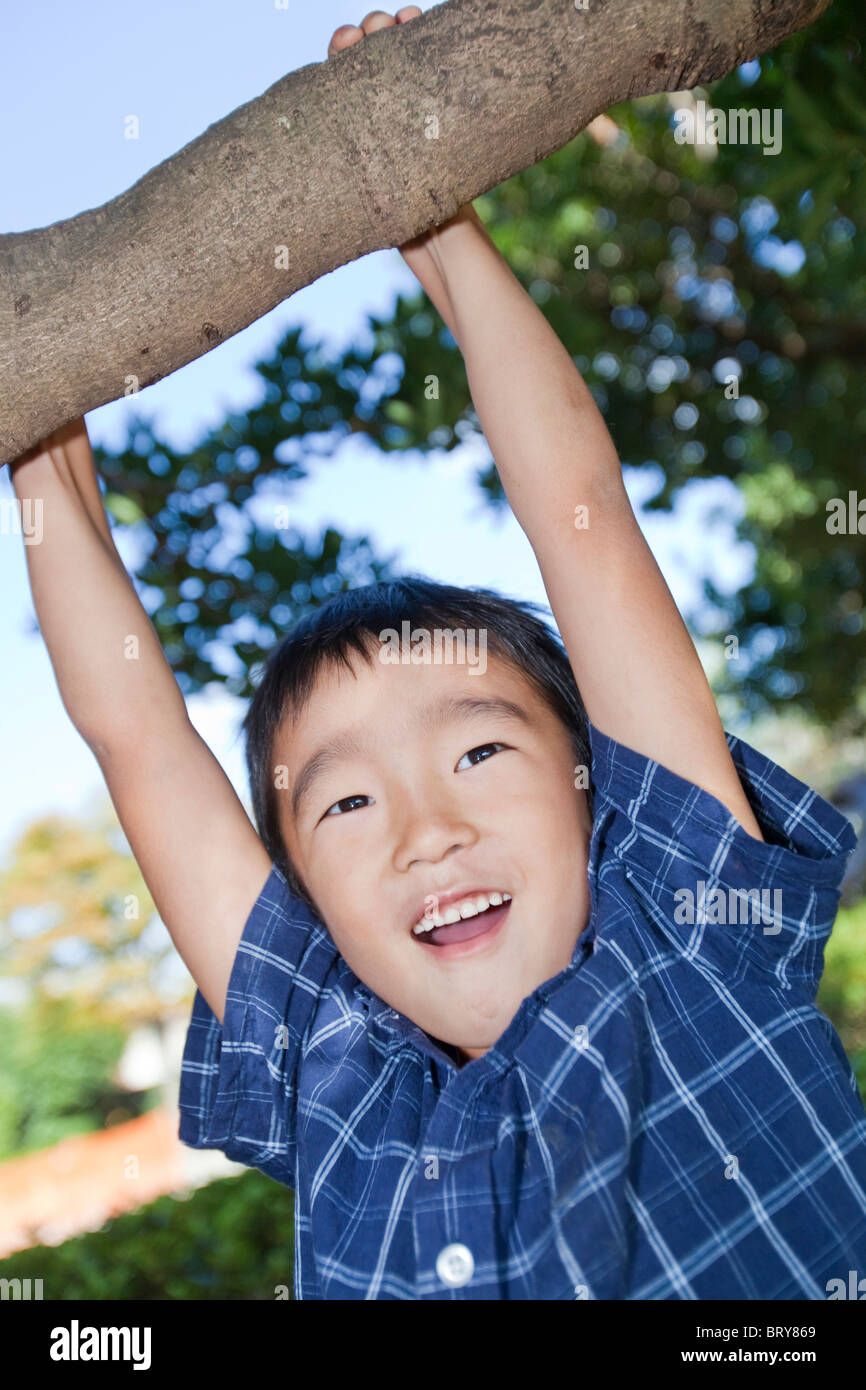 Hanging Tree Branch High Resolution Stock Photography and Images Alamy