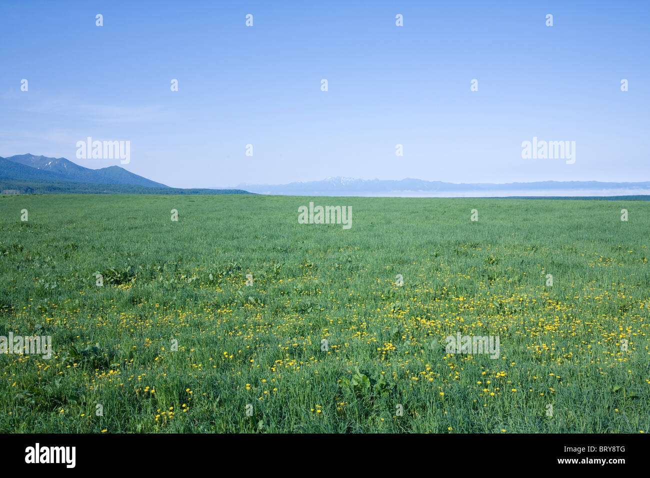 Field and mountain range Hokkaido Prefecture Japan Stock Photo
