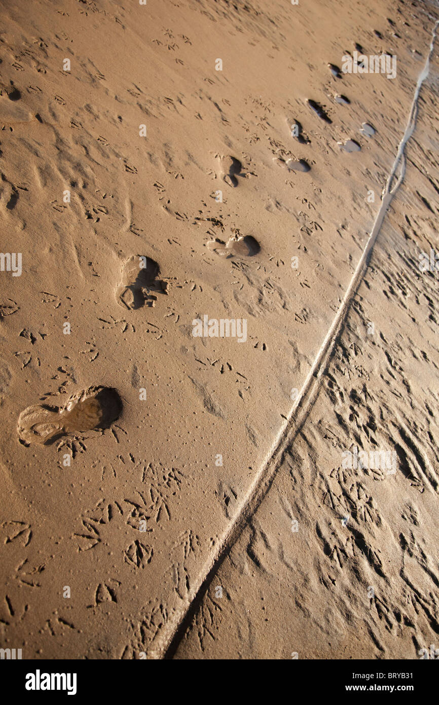 Muddy Footprints High Resolution Stock Photography and Images - Alamy