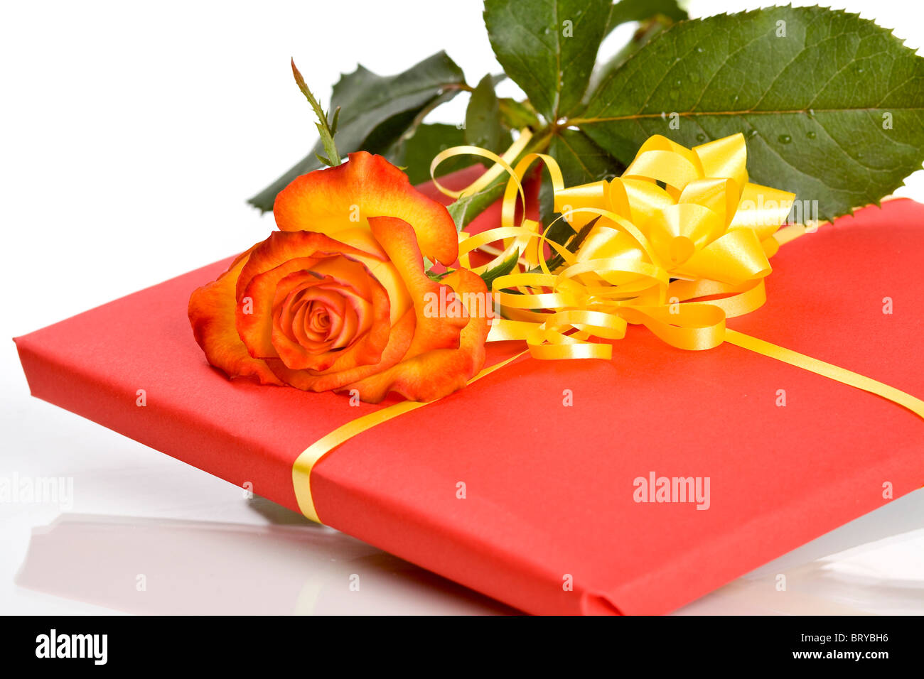 Rose on gift box isolated on white background Stock Photo - Alamy