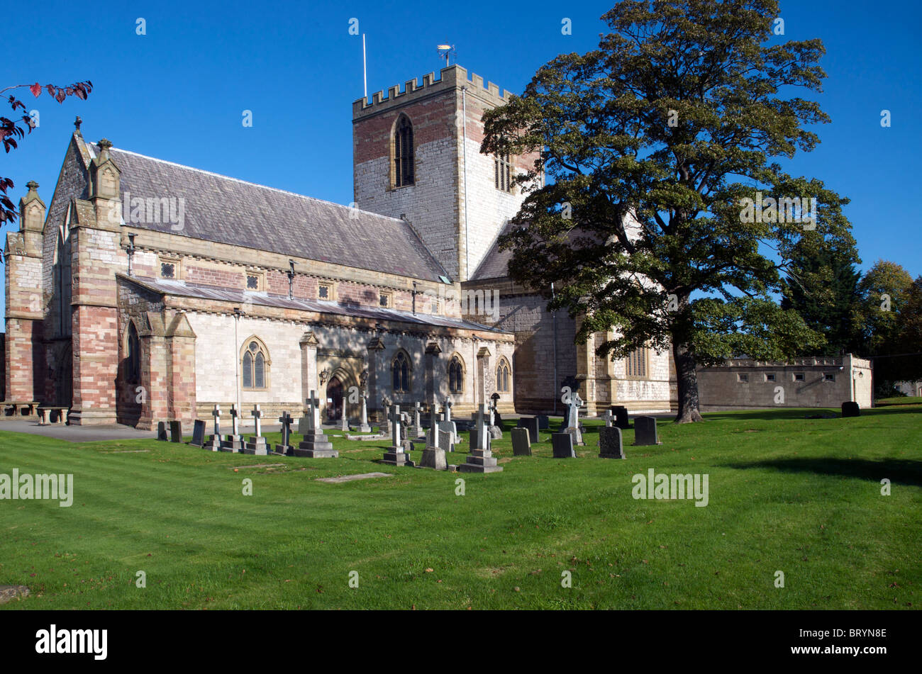 St Asaph Cathedral High Resolution Stock Photography and Images Alamy