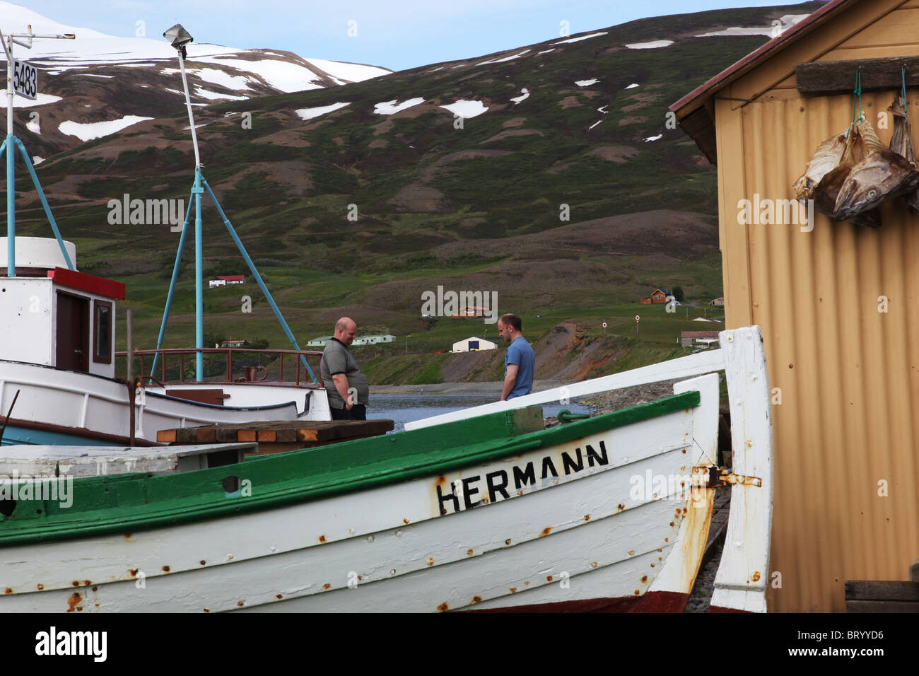 ICELANDIC FISHERMEN ON THEIR BOAT, HEADS OF DRIED COD, GRENIVIK