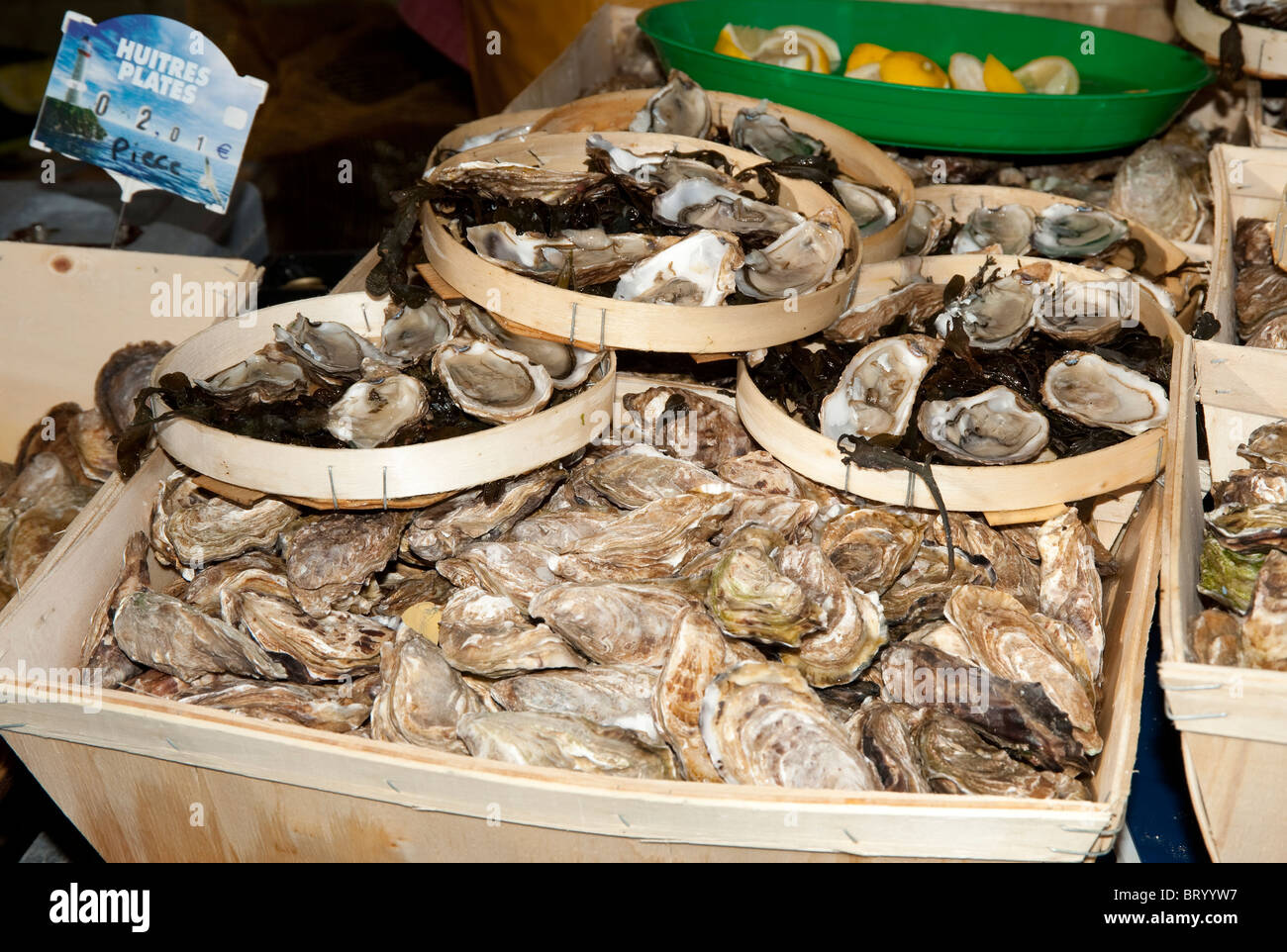 Oysters on display at French Market Stock Photo Alamy