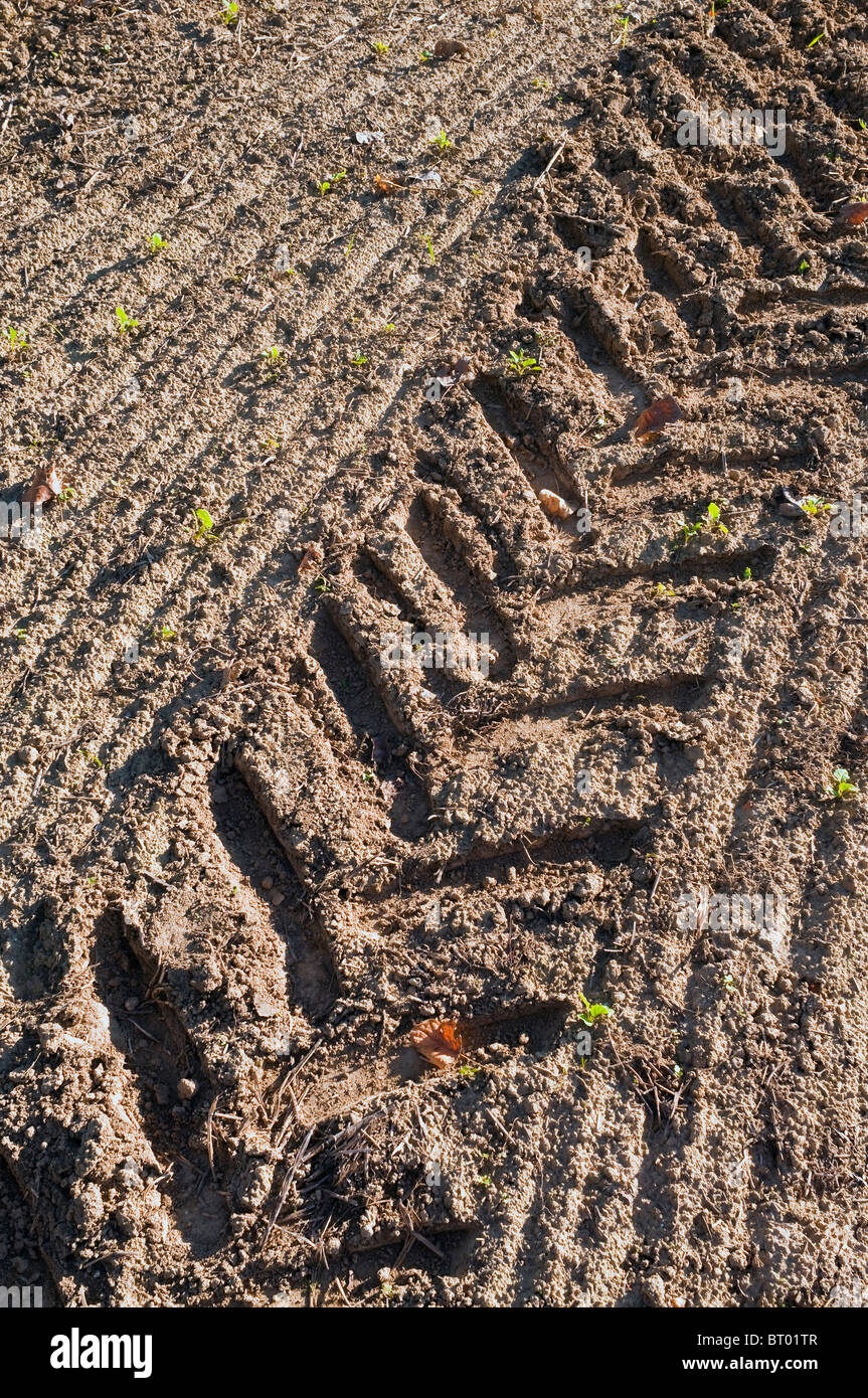 Tractor tyre tracks in farm field - France. Stock Photo