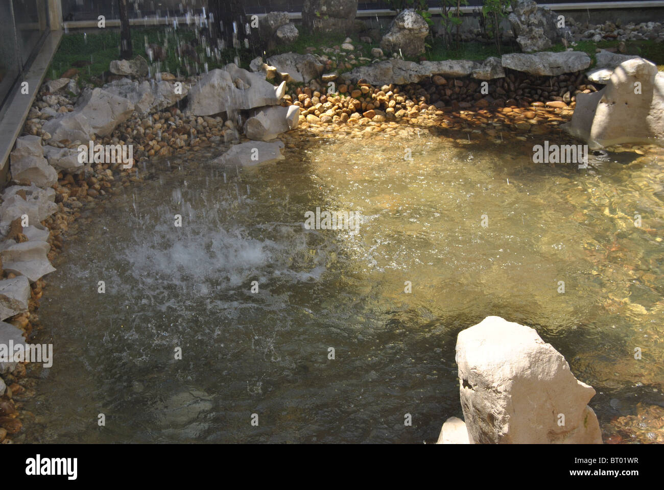 Aquarium in the wax museum, Fátima, Portugal Stock Photo Alamy