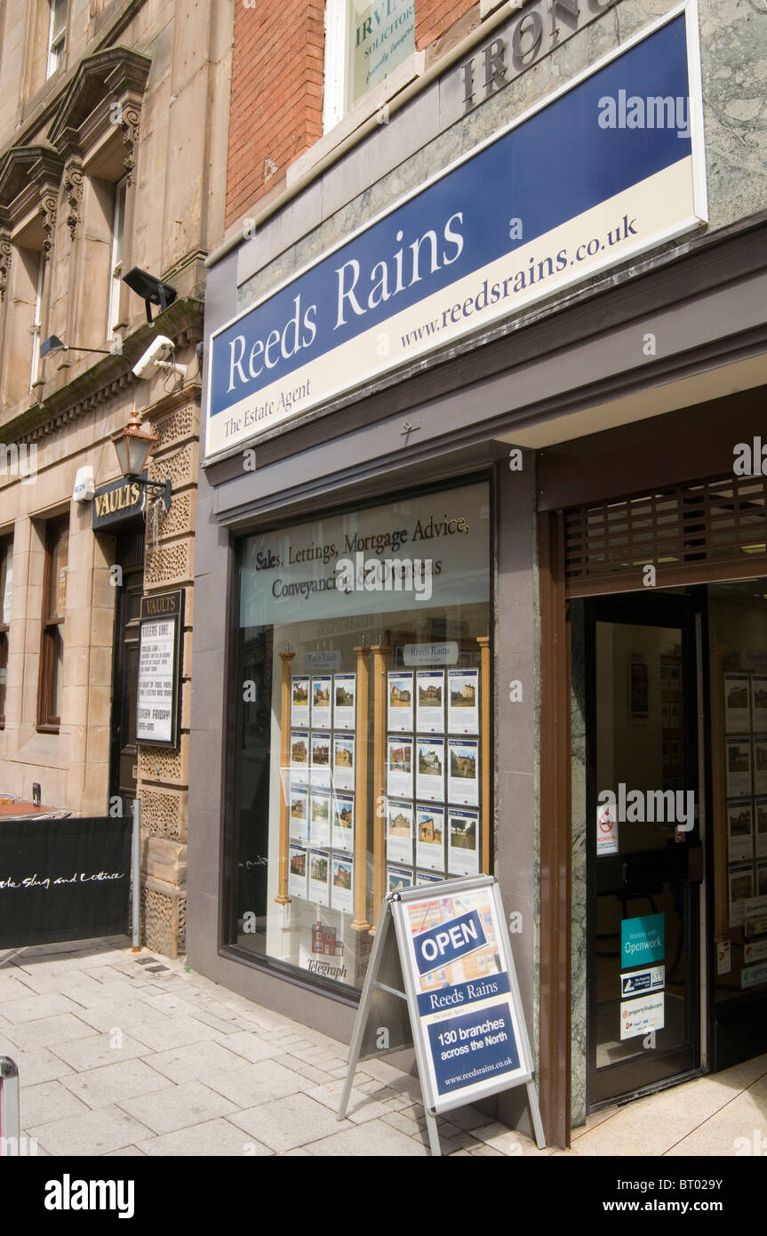 reed rains estate agents agent letting uk highstreet high street property market shop shop branch branches management selling ho Stock Photo