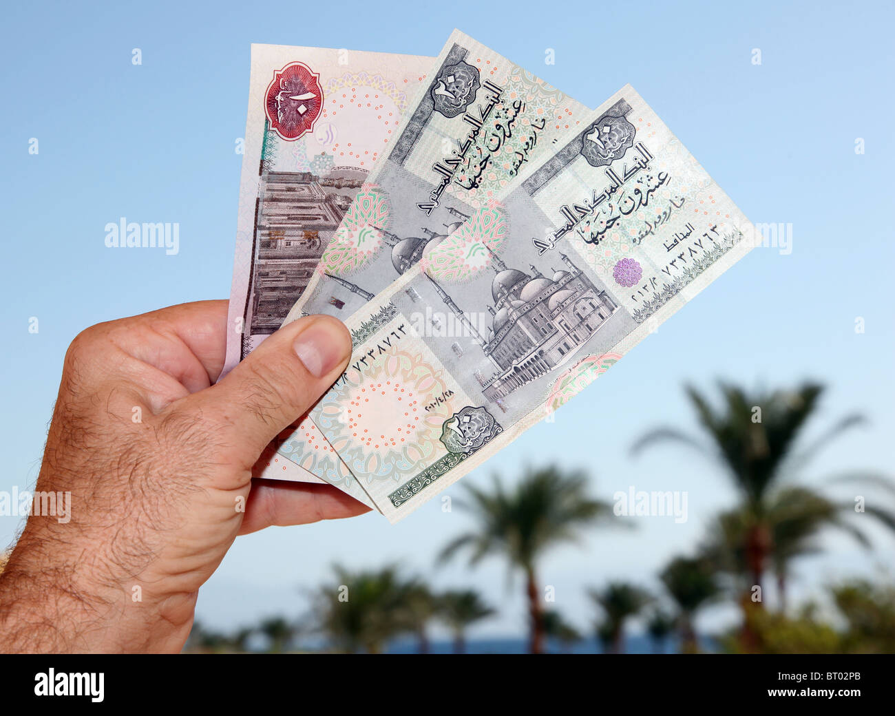 Male hand holding Egyptian money (Pounds). Stock Photo