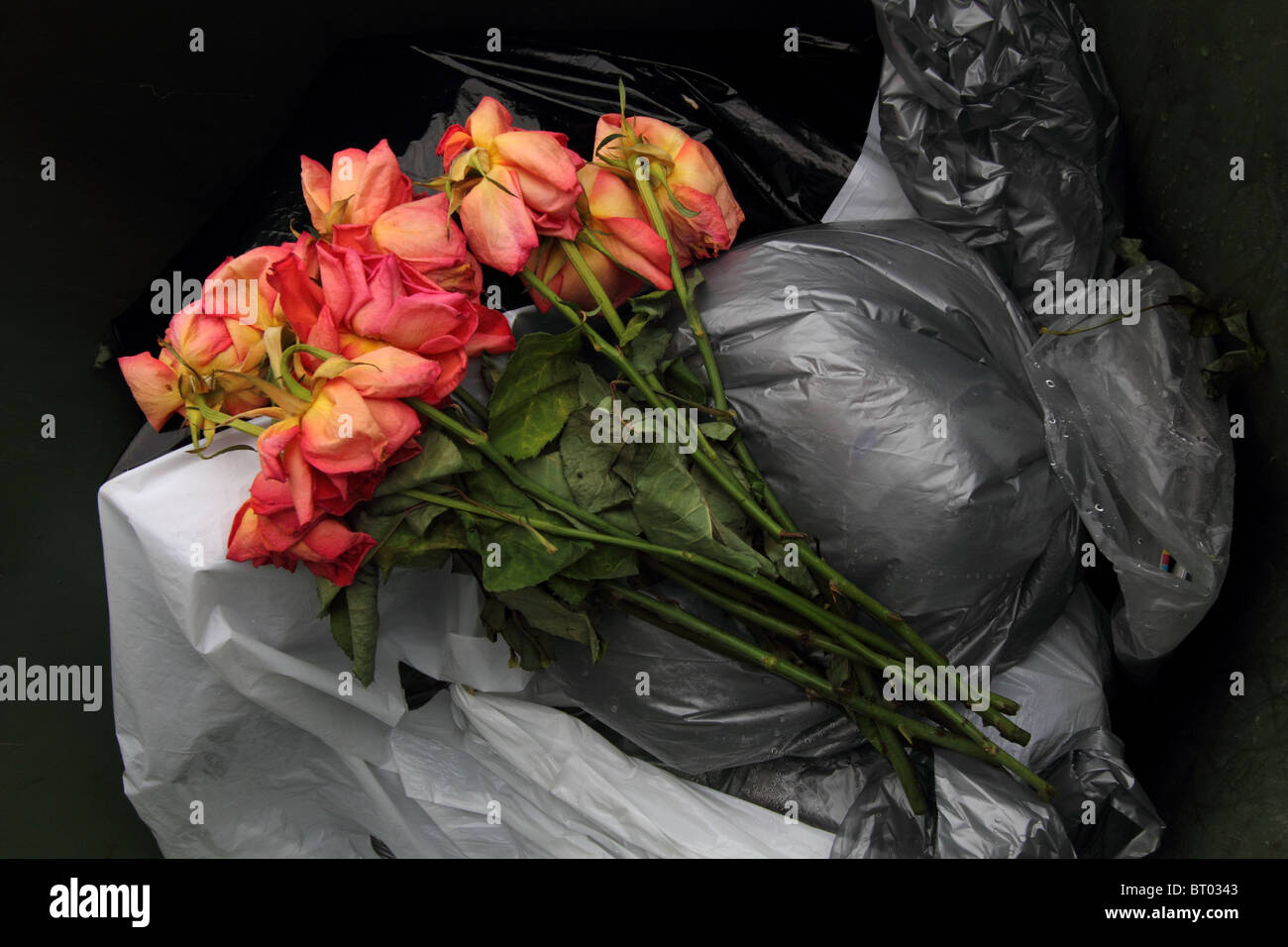 A BUNCH OF DEAD FLOWERS IN A RUBBISH BIN HORIZONTAL SILVER BLACK
