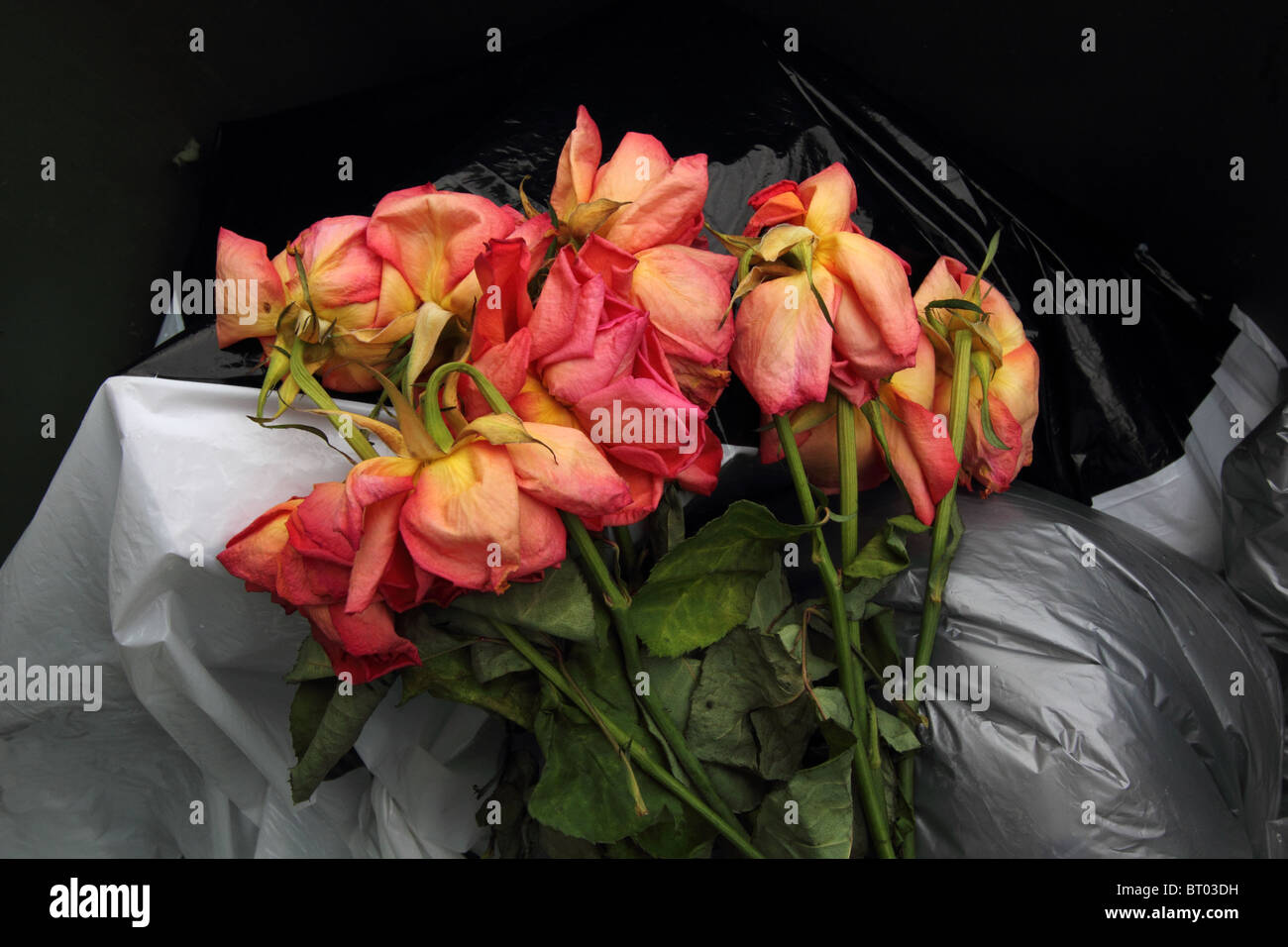 A BUNCH OF DEAD FLOWERS IN A RUBBISH BIN HORIZONTAL SILVER BLACK