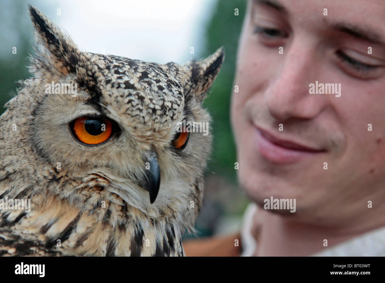 BENGAL EAGLE OWL, FALCONRY AND BIRDS OF PREY SHOW Stock Photo Alamy