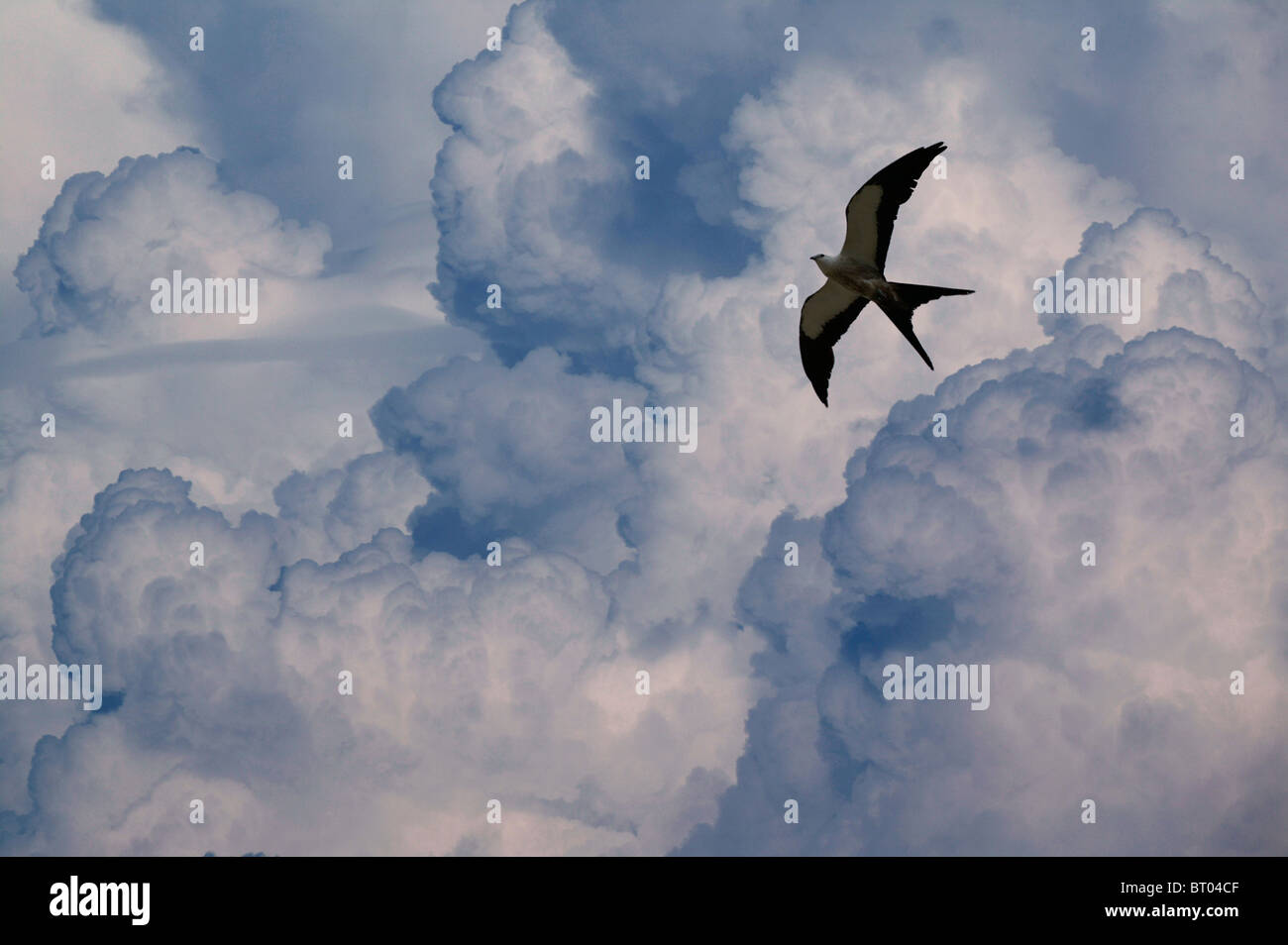 Flying the sky hi-res stock photography and images - Alamy