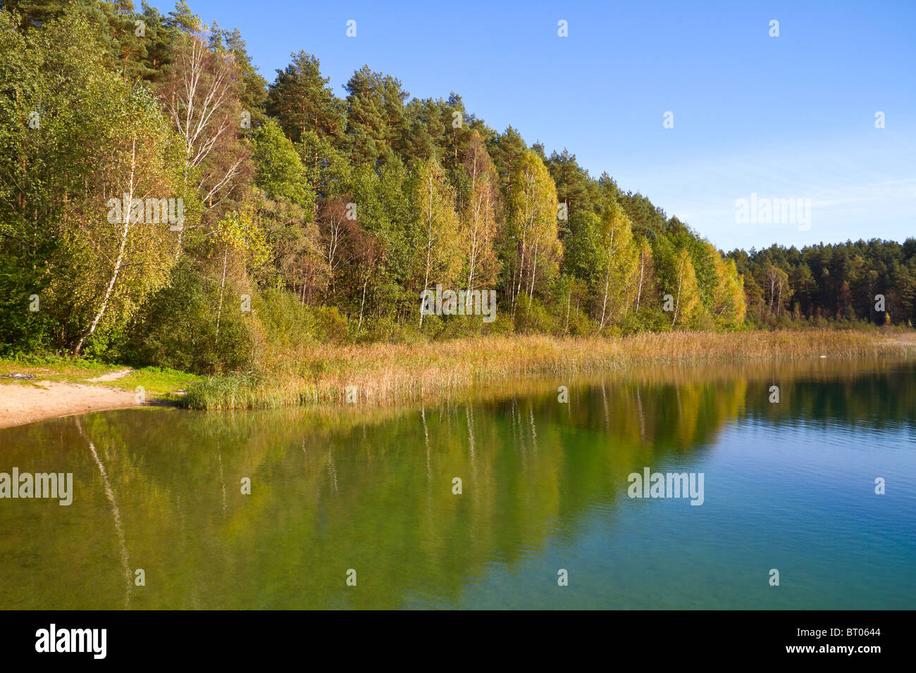 autumn lake Stock Photo