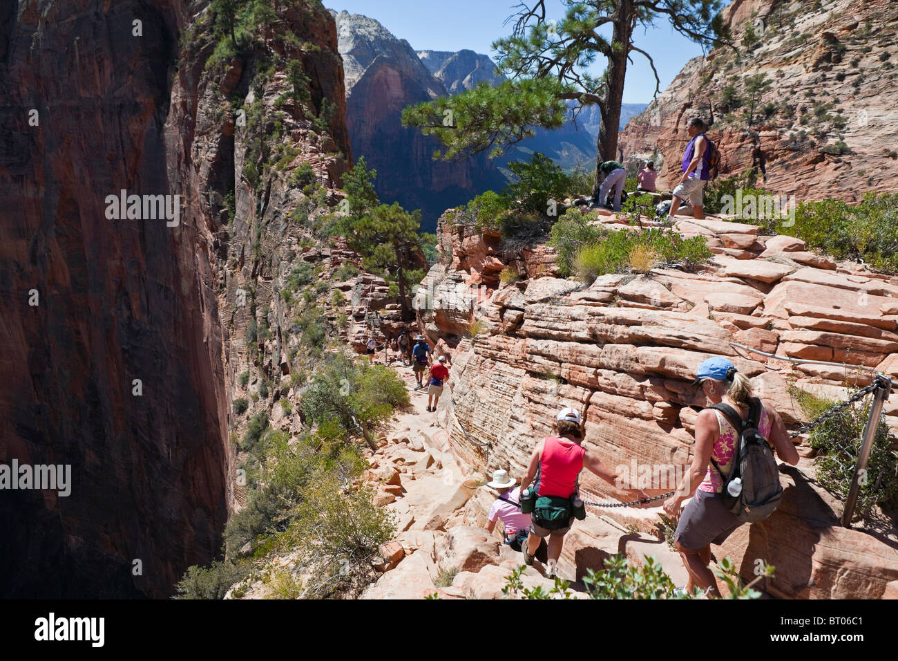 ZION NATIONAL PARK UTAH - SEPTEMBER 10, 2010: Hikers carefully transverse the double cliff trail to the top of the landmark peak Stock Photo