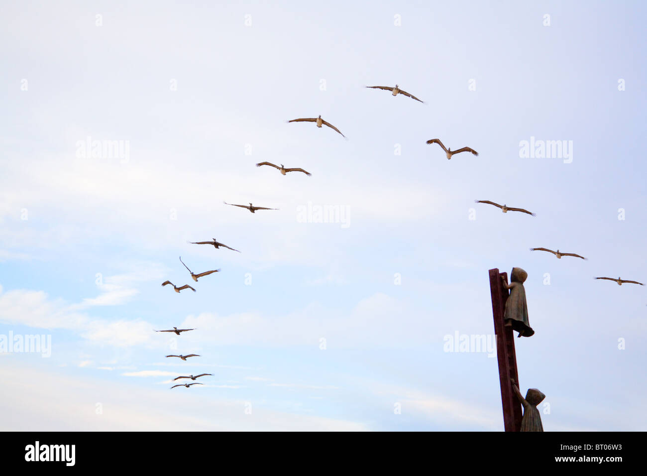 Flock of birds flying over a sculpture in Puerto Vallarta, Mexico Stock Photo