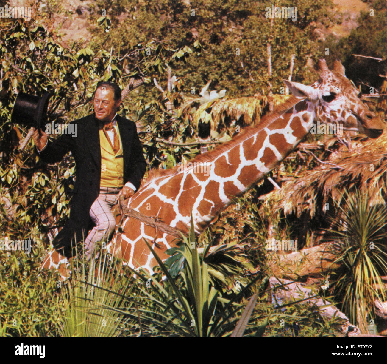 Doctor doolittle film rex hi-res stock photography and images - Alamy