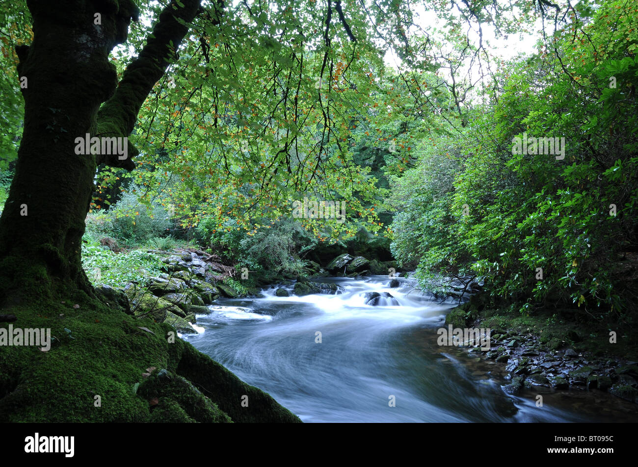 Waterfalls in lauragh beara cork ireland Stock Photo Alamy