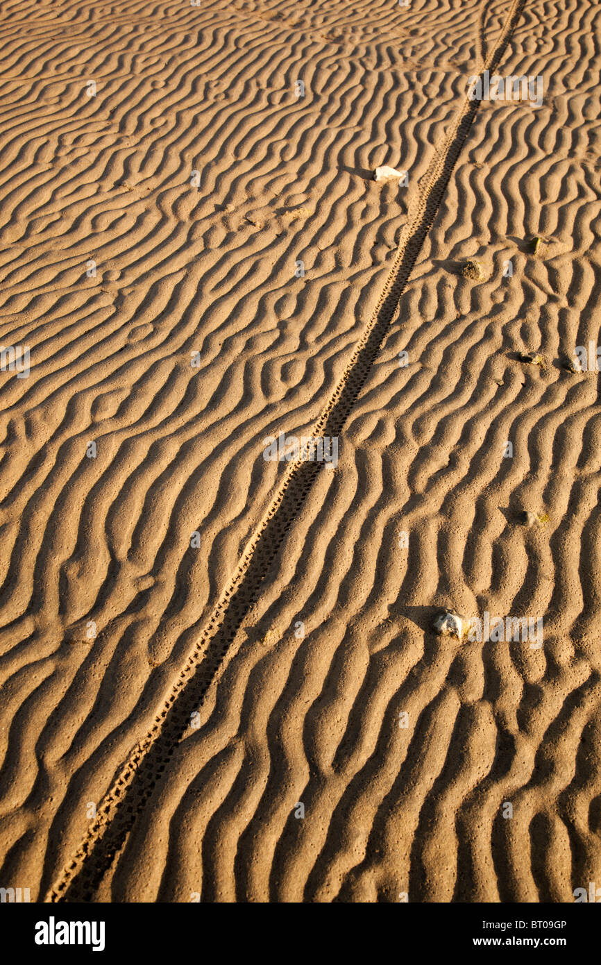 Bicycle tire tracks on beach sand Stock Photo Alamy