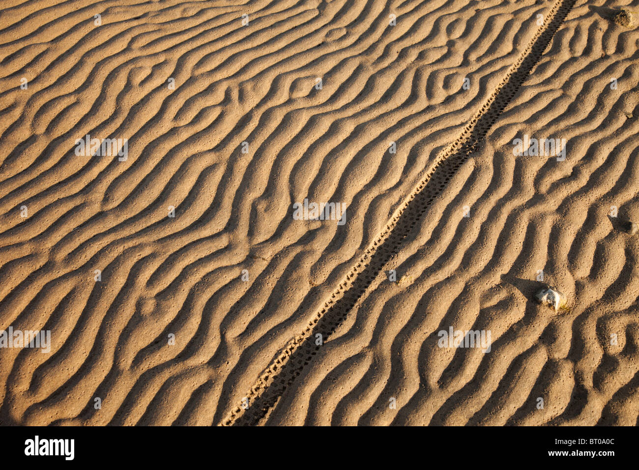 Bicycle tire tracks on beach sand Stock Photo Alamy