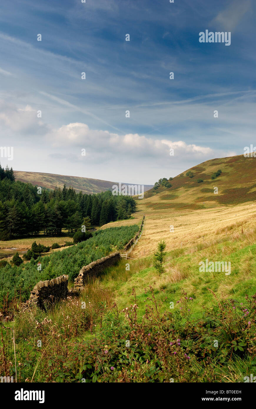 derwent valley derbyshire england uk Stock Photo Alamy