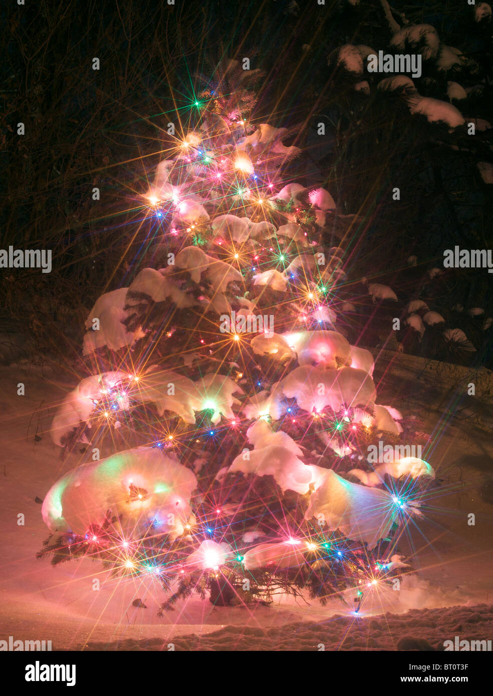Christmas tree with lights in landscape hires stock photography and images Alamy