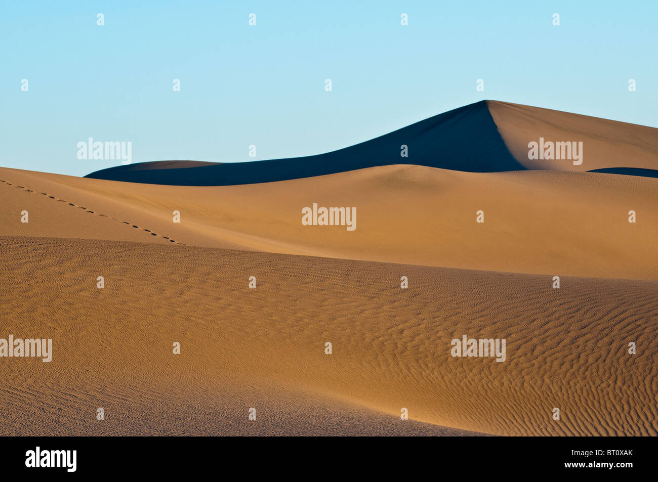 Morning light at the Mesquite Sand Dunes, Death Valley National Park, California, USA Stock Photo