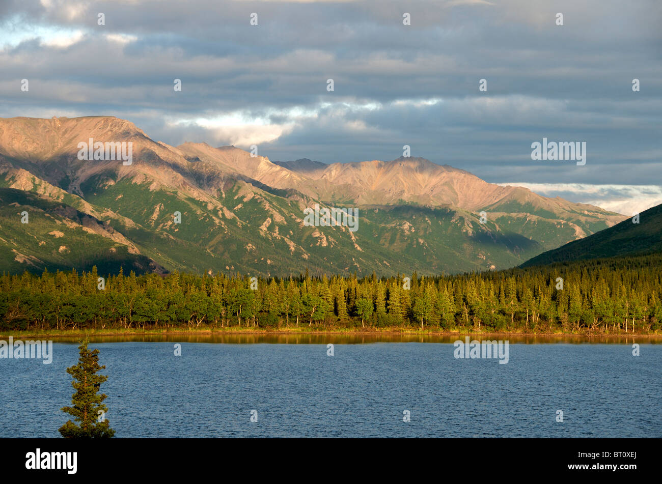 Otto Lake Healy and Denali National Park Alaska USA Stock Photo Alamy